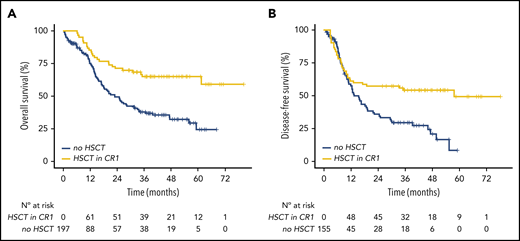 Impact of HSCT in first CR/CRp in patients with IDH-mutated AML. Simon-Makuch plot of OS (A) and DFS (B) according to achievement of HSCT. HSCT was considered a time-dependent variable.