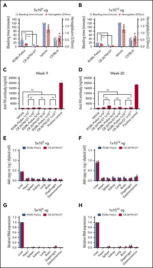 Functionality, safety, and specificity assessment of the vectors. (A-B) Phenotypic correction was assessed using a tail-clip model to measure the bleeding time and blood loss in the repeat experiment for experimental groups of R338L-Padua and CB 2679d-GT at the doses of 5 × 109 vg per mouse (n = 4) (A) and 1 × 1010 vg per mouse (n = 4) (B) compared with the vehicle control (n = 5) and C57BL/6 normal controls (n = 10). For humane reasons, vehicle control mice were euthanized after 120 minutes, although they were still bleeding at that time. Results are presented as mean ± standard error of the mean. *P < .05; **P < .01; ***P < .001 (Student t test); NS, not significant (P > .1) (C-D) The FIX-specific antibodies were determined by ELISA in hemophilia B mice (FIX−/−) injected with R338L-Padua and CB 2679d-GT at 3 doses (1 × 109vg per mouse, 5 × 109 vg per mouse and 1 × 1010 vg per mouse) at time points of 9 weeks (C) and 20 weeks (D) postinjection. *P < .05; **P < .01; ***P < .001 (Student t test); NS, not significant (P > .1). (E-H) AAV copy number in a panel of 8 organs from the mice injected with R338L-Padua or CB 2679d-GT at the 2 doses of 5 × 109 vg per mouse (E) and 1 × 1010 vg per mouse (F) were analyzed at 20 weeks postinjection using quantitative real-time PCR. The same mice were also analyzed for RNA expression in a panel of 8 organs by quantitative reverse transcription PCR to confirm that the RNA expression for both the vector groups was specific to liver 5 × 109 vg per mouse (G) and 1 × 1010 vg per mouse (H). The RNA expression of the transgene was normalized to mouse glyceraldehyde-3-phosphate dehydrogenase expression. Results are presented as mean ± standard error of the mean.