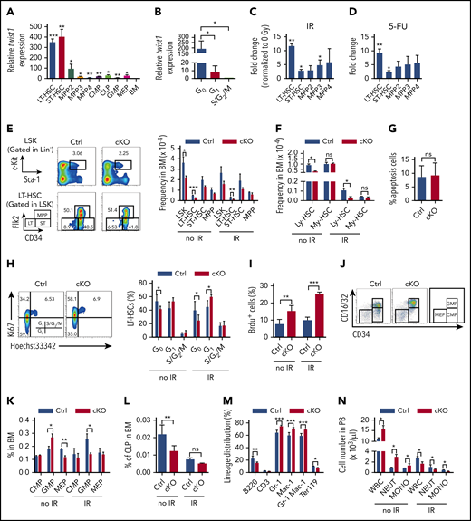HSC homeostasis is impaired in Twist1-deficient mice. (A) Relative expression levels of Twist1 in different hematopoietic cell subsets were evaluated by quantitative polymerase chain reaction. Each subset was compared with BM for statistical analysis (n = 3). LT-HSC: Flk2−CD150+CD48−LSK; ST-HSC: Flk2−CD150−CD48−LSK; multipotent progenitor 2 (MPP2): Flk2−CD150+CD48+LSK; MPP3: Flk2−CD150−CD48+LSK; MPP4: Flk2+CD150−CD48+LSK; common myeloid (My) progenitor (CMP): CD34+CD16/32−LK (Lineage−cKit+Sca1−); granulocyte/monocyte progenitor (GMP): CD34+CD16/32+LK; megakaryocyte/erythrocyte progenitor (MEP): CD34−CD16/32−LK; CLP: CD127+cKitlowSca1low Lineage−. (B) Relative expression levels of Twist1 messenger RNA (mRNA) in CD34−Flk2− LT-HSCs in G0, G1, and S/G2/M phases (n = 3). (C) LT-HSCs, ST-HSCs, and MPP2-4 cells were isolated from mice before and at 12 hours after irradiation (IR; 5 Gy). Twist1 mRNA was detected, and the fold change of Twist1 expression was normalized to the 0-Gy group (n = 3). (D) Induced expression of Twist1 mRNA in LT-HSCs, ST-HSCs, and MPP2-4 cells 10 days after 5-fluorouracil (5-FU) treatment. Fold change of Twist1 expression was normalized to the no-treatment group (n = 3). (E) Frequencies of indicated populations in BM cells from control (Ctrl) and cKO mice at 4 weeks after the last polyinosinic:polycytidilic acid injection and day 12 after IR (right) and representative fluorescence-activated cell sorting (FACS) plots (left; n = 5). (F) Percentages of CD150highLSKFlk2−CD48− and CD150lowLSKFlk2−CD48− cells in BM cells from Ctrl and cKO mice at steady state and day 12 after IR (n = 3-5). (G) Apoptosis in BM CD150low HSCs under steady-state conditions (n = 4). (H) Cell-cycle analysis of LT-HSCs at basal and day 12 post-IR (right) and representative FACS plots (left; n = 5). (I) Proliferation analysis of LT-HSCs at basal and day 12 post-IR (n = 4). (J-K) Frequencies of CMPs, GMPs, and MEPs in BM cells at steady state and day 12 after IR (K) and representative FACS plots (J) (n = 5). (L) Frequencies of common lymphoid (Ly) progenitors (CLPs) in BM under steady-state conditions and after IR (n = 5). (M) Lineage distribution in BM assessed by FACS at steady state (n = 5). (N) Absolute number per liter of white blood cells (WBCs), neutrophils, and monocytes in peripheral blood (PB) from Ctrl and cKO mice under steady-state conditions and after IR (n = 4-5). Data are represented as means ± standard deviation. *P < .05, **P < .01, ***P < .001 (Student t test). ns, not significant.