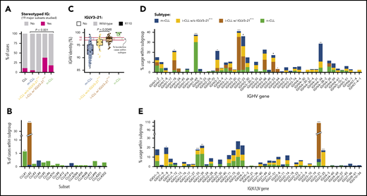 Stereotype, somatic hypermutation, and V gene use in CLL subtypes. (A) Frequency of stereotyped immunoglobulin genes in each CLL subtype (19 major stereotype subsets were annotated using ARResT/AssignSubsets tool). P value by χ2 test. (B) Frequency of specific stereotypes within each subtype of cases. (C) Boxplots showing percentage of identity to germ line of IGHV gene in each CLL subtype. Percentage of cases carrying borderline IGHV identity (97% to 98%) is shown for each subgroup of cases. Note also that none of the IGLV3-21R110 cases had 100% IGHV percentage of identity. P value by Wilcoxon test comparing i-CLL cases with and without IGLV3-21R110. (D) IGHV gene use according to CLL subtype. (E) IG(K/L)V gene use according to CLL subtype. IGKV genes from proximal and distal clusters were merged for simplification. Only the IGLV gene is represented for cases expressing κ and λ gene rearrangements. Q values by χ2 test with Benjamini-Hochberg correction. Q < 0.1, *Q < 0.05, **Q < 0.001, ***Q < 0.0001.