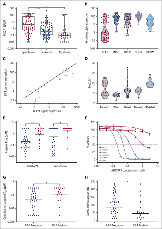 Bfl-1 is overexpressed in lymphomas and confers resistance to BH3 mimetics. (A) Reads per kilobase of transcript per million mapped reads (RPKM) for BCL2A1 across hematological cancer cell lines from the CCLE RNA-sequencing data set. (B) Violin plot for relative Bcl-2 family antiapoptotic protein levels across 52 lymphoma cell lines. Data were acquired from densitometric measurements of western blot band intensities from supplemental Figure 1A. (C) Correlation between BCL2A1 mRNA and Bfl-1 protein levels in a subset of 18 evaluated lymphoma cell lines. BCL2A1/Bfl-1 levels were normalized relative to the TMD8 cell line as 100%. Solid line indicates y = x-axis unity. (D) BCL2A1, MCL1, BCL2, BCL2L1, BCL2L2 mRNA abundance in lymphoma cell lines. (E) AZD5991 and venetoclax were assessed for caspase activation after 6 hours of drug incubation across the lymphoma cell line panel. Each dot represents individual cell lines that are either Bfl-1+ (red) or Bfl-1− (blue). Solid line indicates the geometric mean 50% effective concentration (EC50). (F) Cell viability of Bfl-1− (blue) or Bfl-1+ (red) cell lines in response to a dose response of AZD5991 treated for 24 hours. (G-H) Lymphoma cell lines were treated with a fixed 0.33-µM dose of venetoclax combined with a dose response of AZD5991 for 6 hours before caspase activation was assessed. Each dot represents the caspase EC50 (G) or area under the curve (AUC) parameters (H) of individual cell lines that are Bfl-1+ (red) or Bfl-1− (blue). Solid line indicates the geometric mean EC50 (G) or AUC (H). *P < .05; **P < .01; ****P < .0001.