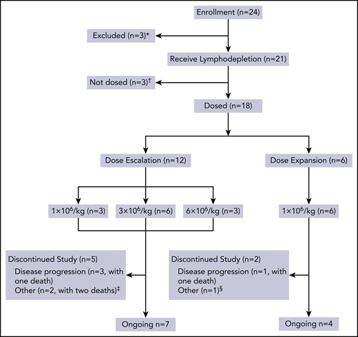 Flowchart of this trial. *Three patients were excluded because they did not meet inclusion criteria or because of rapid progression. †Three patients who received lymphodepletion were not dosed because of heart failure, severe liver function damage, and severe infection, respectively. ‡Two patients died of infection. §One patient refused follow-up in the study site but remained in a state of sCR until the cutoff date.