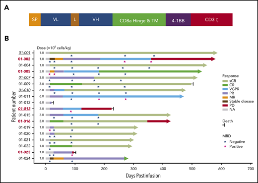 Schematic diagram of CT103A CAR construct and treatment response and outcome in patients with CT103A infusion. (A) The second-generation CAR consisted of a scFv from a fully human antibody against human BCMA, the hinge and transmembrane domain from CD8a, the costimulatory domain from 4-1BB (CD137), and the activation domain from CD3ζ. (B) The best responses of all 18 patients with different infusion doses (1 × 106 cells/kg to 6 × 106 cells/kg) are shown. The responses were assessed according to the criteria described in the Methods. Underlined italic numbers indicate patients who relapsed after a prior murine BCMA CAR T-cell treatment. Bold numbers in red indicate patients with EMM. Arrows indicate ongoing remission. L, linker; MR, minor response; NA, not applicable; PR, partial response; SP, signal peptide; VGPR, very good partial response; VL, variable light chain; VH, variable heavy chain.