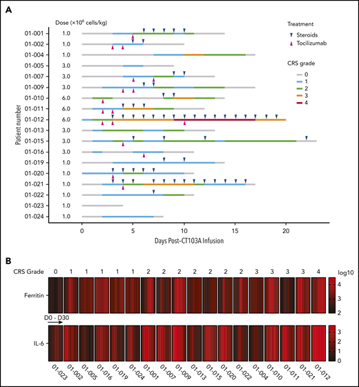 The timing and severity of CRS, CRS-related treatment, and increases in serum ferritin and IL-6 levels after CT103A infusion. (A) The timing of CRS onset, grades, and durations are shown in lines with different colors for each patient. Magenta and blue ticks indicate treatment of tocilizumab and steroids, respectively. (B) A heatmap of the serum ferritin and IL-6 levels in 18 patients in the first month after CT103A infusion. Each block is composed of cells that represent the serum ferritin or IL-6 level collected at baseline and serial time point after infusion. The color of each cell is determined by the value (log10) of the serum ferritin or IL-6 level from low (black) to high (red). The elevation of serum ferritin and IL-6 levels seem parallel with the CRS grade. The peak of IL-6 seems slightly earlier than that of ferritin in most patients.