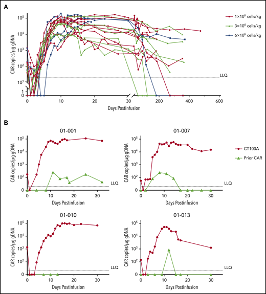 Kinetics of CAR T cells after CT103A infusion. (A) Kinetics of the CAR T cells in the patients are shown by the CAR copies per microgram of genomic DNA (copies/μg gDNA) at serial time points post-infusion using digital droplet polymerase chain reaction. The data were obtained until the latest follow-up of each patient. The horizontal line denotes the lower limit of quantitation (LLQ: 20 CAR copies/μg gDNA). Red, light green, and blue lines represent patients receiving infusion doses of 1, 3, and 6 × 106 cells/kg, respectively. By the end of the last follow-up, expansion of CT103A was not detected in 4 patients only. (B) Four patients had relapsed from a prior murine BCMA CAR T-cell therapy. Copy numbers of CT103A and previous murine BCMA CARs were simultaneously monitored by digital droplet polymerase chain reaction in these patients. In each panel, the upper red curve is CT103A, and the lower light green curve is the murine BCMA CAR.