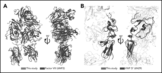 Minimal structural differences exist between complexed FVIII and VWF-D′ compared with free FVIII and VWF-D′. (A) Superposition of complexed FVIII from this study (blue) and free FVIII from PDB: 6MF2 (black). (B) Superposition of complexed VWF-D′ from this study (red) and free VWF-D′ from PDB: 6N29 (black). The FVIII and VWF-D3 portions of the structure are in gray.