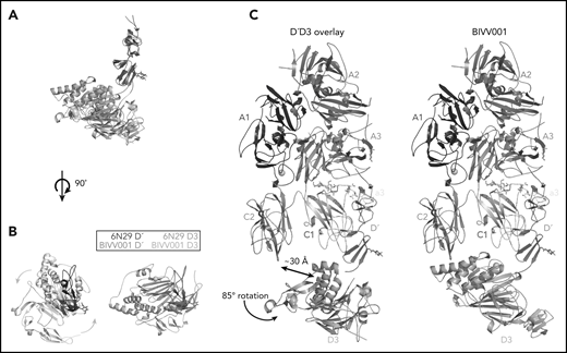 The relative orientation between VWF-D′ and D3 in BIVV001 is rotated compared with the previously reported X-ray structure of VWF-D′D3 alone. (A) Superposition of the VWF-D′D3 X-ray structure (PDB: 6N29), via D′, onto the D′D3 portion of the BIVV001 structure. (B) The individual structures from panel A viewed from the top, placing the long axis of D′ pointed out of the page. The 85° relative rotation of VWF-D3 is indicated by the gradient arrows. (C) The same superposition and transition shown in in the context of the full BIVV001 structure. VWF-D3 rotates 85°, moving the C8-3 α-helices 30 Å to contact FVIII C2.