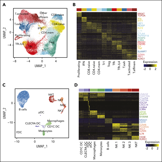 Characterization of the TME. (A) UMAP plot of all T cells from 20 tumors from 10 patients. Clusters are denoted by color and labeled according to phenotype. (B) Heatmap of the top 30 differentially expressed genes (rows) between T-cell subpopulations (columns; n = 3600 cells); the Wilcoxon test with Bonferroni correction was used. Selected canonical markers are highlighted on the right side. Bar above is colored by cluster as in panel A. (C) UMAP plot of non-T cells from 20 tumors from 10 patients. Clusters are denoted by color and labeled according to phenotype. (D) Heatmap of the top 30 differentially expressed genes (rows) between non-T subpopulations (columns; n = 2098 cells); the Wilcoxon test with Bonferroni correction was used. Selected canonical markers are highlighted on the right side. Bar above is colored by cluster as in panel C. FDC, follicular dendritic cell; pDC, plasmacytoid dendritic cell.