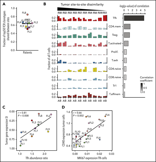 Site-to-site heterogeneity in the TME. (A) Fraction of 50 most abundant TCRβ clonotypes shared between tumor sites A and B. Dots are colored by patient identity as in Figure 2A. (B) Fraction of all T cells for each tumor site (tumor site A and site B) per patient (FL1-FL10), belonging to each T-cell subpopulation (left). Bars are colored by T-cell subpopulation as in Figure 5A. Spearman correlation between site-to-site abundance ratio of each T-cell subpopulation and tumor cell dissimilarity (quantified by Renkonen SI) (right). (C) Spearman correlation between site-to-site abundance ratio for Tfh cells and tumor cell dissimilarity (quantified by SI). Dots are colored by patient identity. (D) Spearman correlation of CD40 expression in tumor cells and MKI67 expression in Tfh cells of all 20 tumor samples. Dots are colored by patient identity.