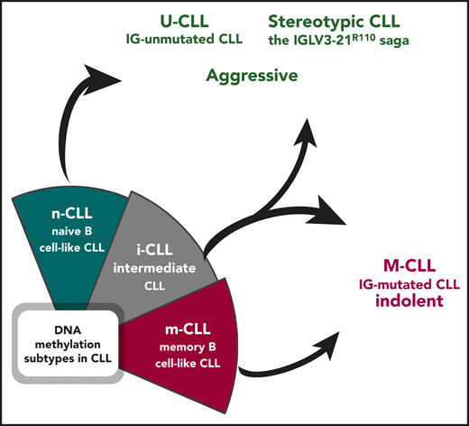 Epigenetically defined i-CLL can be reclassified based on immunogenetic features. Illustration by Andreas Agathangelidis, CERTH, Thessaloniki.