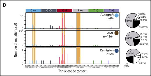 Development of CH and TMNs in patients 1 and 2. (A) The neuroblastoma treatment course for patient 1 in parallel with the emergence of CH (clone 1 in blue and clone 2 in gray) and the progression of clone 1 to t-MDS denoted in orange and red. Sequencing coverage (X) is indicated for whole-genome sequencing (WGS) and targeted sequencing (TS). For patient 1, targeted sequencing coverage is reported at the PTPN11 G503E locus. The median VAFs of mutations defining each clone are indicated as a percentage value next to their respective circle. Black circles indicate that no evidence (ie, no significant enrichment of mutant reads) of the clone in question was found at that time point. (B) The mutational spectra defining clone 2 for patient 1 (light blue and dark blue circles), clone 2 (gray circle) and t-MDS (red and orange circles) are defined by the number of single-base substitutions (SBSs, y-axis) per trinucleotide context (x-axis). SBS spectra characteristic of platinum agent-induced mutagenesis are shaded yellow. The pie charts to the right of each mutational spectra plot indicate that the majority of the SBSs at all time points are accounted for by platinum agent–associated mutational signatures (SBS31 and SBS35), with the small remainder of mutations attributed to clock-like mutational processes associated with ageing (SBS1 and SBS5) and oxidative stress (SBS18). (C) The neuroblastoma treatment timeline for patient 2 in parallel with the progression of CH (light blue circle) to AML (red circle), with persistence of residual CH after t-AML remission (dark blue circle). As in panel A, the median VAF of mutations defining each clone is indicated as a percentage value. *Treatment for t-AML before allogeneic transplant comprised cytarabine, daunorubicin, and etoposide (ADE) and fludarabine, high-dose cytarabine, idarubicin, and granulocyte colony-stimulating factor (FLAG-IDA) chemotherapy. (D) The mutational spectra defining clonal hematopoiesis and t-AML for patient 2 is shown in the same manner as that for patient 1 in panel B.