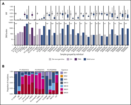 De novo germline and somatic mutations in CH, TMNs, and solid tumors in childhood cancer patients. (A) The VAF distribution (upper plot) and single nucleotide variant (SNV) burden (lower plot) of de novo germline mutations, solid tumors, CH, and TMNs in 20 pediatric oncology patients. Samples are grouped by individual. The patient’s solid tumor diagnosis is indicated in the upper left corner of the respective bar plot. Asterisks denote patients who had been exposed to platinum chemotherapy at the time of sampling. (B) Mutational signature profile of de novo germline, CH, TMN, and solid tumor mutation for the 3 individuals with clonal hematopoiesis, which demonstrates the preponderance of platinum-agent mutational signatures SBS31 and SBS35 in CH and TMN. DNM, de novo germline mutation; ES, Ewing sarcoma; IFS, infantile fibrosarcoma; Lt, left; NB, neuroblastoma; OS, osteosarcoma; RMS, rhabdomyosarcoma; Rt, right; URT, unclassifiable renal tumor; WT, Wilms tumor. Asterisk indicates previous exposure to platinum chemotherapy at the time of sampling.