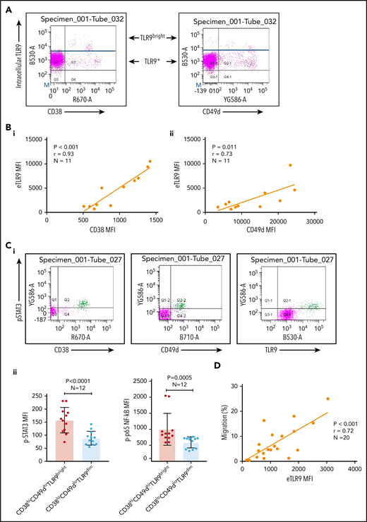 CLL TLR9 levels correlate with CD38, CD49d, p-STAT3, and p-p65 NF-κB and ability to migrate. Unstimulated primary PBMCs from 11 patients with CLL were stained with antibodies to CD5, CD19, CD38, CD49d, and a viability dye and then permeabilized and stained for eTLR9 or an isotype matched control. Cells were assessed by using flow cytometry and positivity determined by fluorescence minus one for surface antigens or an isotype matched control for eTLR9. (A) Representative figure showing that all viable CD5+CD19+ gated CLL cells have eTLR9, but within a patient, a much larger proportion of the CD38+ and CD49d+ populations have exceptionally high TLR9 (TLR9bright) compared with their negative counterparts. (B) CD5+CD19+CD38+ (i) and CD5+CD19+CD49d+ (ii) CLL cells from 11 different patients were gated on and the MFI of CD38, CD49d, and TLR9 established. There is a clear positive correlation between the MFIs of both CD38 and CD49d with TLR9. (C) Basal intranuclear p-STAT3 (Tyr 705) and p-p65 NF-κB levels were established on CLL cells from 12 patients using the same panel as above and including an anti–p-STAT3 or p-p65 NF-κB antibody. (i) Representative figure shows higher expression of p-STAT3 in CLL cells in a small population of CLL cells (shaded green), which also have higher expression of CD38, CD49d, and TLR9. (ii) The MFIs for both p-STAT3 and p-p65 NF-κB were quantified on both the CD38hi CD49dhi TLR9bright and the CD38lo CD49dlo TLR9dim population. The MFI of both p-STAT3 and p-p65 NF-κB was significantly higher in the CD38hi CD49dhi TLR9bright CLL cells. (D) Basal eTLR9 levels of CLL cells from 20 patients were compared with their level of migration (as described in Figure 2C, but in the absence of any stimulation). There is a clear correlation between the percentage of CLL cells that migrate and the MFI of their eTLR9.