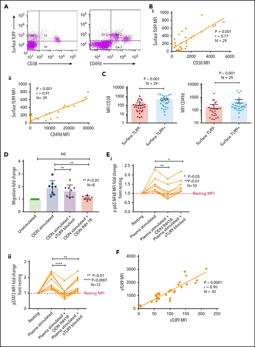 A small proportion of CLL cells with an aggressive phenotype and high levels of eTLR9 express functional sTLR9. Unstimulated primary PBMCs from 29 patients with CLL were stained with antibodies to CD5, CD19, CD38, CD49d, sTLR9, and a viability dye. Cell were assessed by using flow cytometry and positivity determined by fluorescence minus one. (A) Representative figure showing CLL cells from a patient with very high levels of sTLR9 expression. Viable CD5+CD19+ CLL cells were gated on and sTLR9 plotted against either CD38 or CD49d. The majority of sTLR9-positive CLL cells are positive for CD49d and many for CD38 as well. (B) CD5+CD19+CD38+ (i) and CD5+CD19+CD49d+ (ii) CLL cells from all 29 patients were gated on and the MFI of CD38, CD49d, and sTLR9 established. There is a clear positive correlation between the MFIs of both CD38 and CD49d with that of sTLR9. (C) Using a different 29 patient cohort, viable CD5+CD19+CLL cells were gated on and the sTLR9-positive and sTLR9-negative populations were further gated on. The MFI of CD38 and CD49d was established on both sTLR9-positive and sTLR9-negative populations, and within every patient, both CD38 and CD49d are much more highly expressed in the sTLR-positive population compared with their negative counterparts. (D) PBMCs from 8 different patients with CLL were split into 4 fractions. One fraction was preincubated with an antibody to block sTLR9 and one with ODN INH-18 to block tTLR9. Both these fractions of cells, and an untreated fraction, were then stimulated with ODN2006 overnight. The fourth fraction remained unstimulated. After overnight incubation, cells were harvested and then transferred into transwell migration chambers and incubated for 4 hours; cells migrated toward a CXCL12 (100 ng/mL) gradient. The migrated and nonmigrated cells were collected, stained with CD5 and CD19 for CLL cell identification, and then quantitated volumetrically. The fold change compared with the normalized unstimulated fraction was then assessed. The ODN2006 prestimulated CLL cells had greater levels of migration compared with the unstimulated fraction. This was marginally reduced after the blocking of sTLR9 but abrogated to the resting level in the presence of tTLR9 inhibition. (E) The same experiment was repeated by using autologous plasma stimulation for a 4-hour period and then cells collected, stained with CD5, CD19, and either an isotype matched control or p-p65 NF-κB (i) or p-STAT3 (ii). p-p65 NF-κB and p-STAT3 MFIs were quantified and the fold change compared with the normalized unstimulated fraction assessed. Both were upregulated in the presence of plasma, and this was very marginally reduced with sTLR9 blocking but much more with tTLR9 blockade. (F) eTLR9 and sTLR9 levels were compared on CLL cells from 30 different patients. Samples were split into 2 fractions; one was stained with CD5, CD19, and permeabilized for eTLR9 staining and the other with CD5, CD19, and sTLR9. For each, the CD5+CD19+ CLL cells were gated on and the MFI of the TLR9 quantified. There is a very strong correlation between the levels of eTLR9 and expression of sTLR9. NS, not significant.