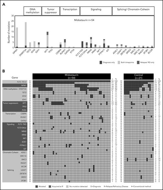 Recurrently mutated genes at D and at R. (A) Frequencies of recurrent gene mutations in all patients treated with midostaurin (n = 54) present only at D (blue), only at R (red), and at both time points (yellow). Genes are arranged according to functional groups as described at the top of the graph. (B) Presence of gene mutations in patients treated with midostaurin and the control group at D and R. Genes are arranged with regard to functional groups. Each column represents a single patient. For each patient, the presence of mutations is given at both time points in subsequent rows. Blue, presence of a mutation; gray, wild type. Mutations present only at R are highlighted in red. The number (n) and percentage (%) of mutations at the respective time points are given next to the figures.