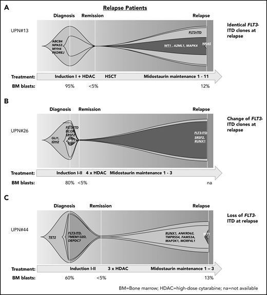 Patterns of clonal evolution in relapse patients. Fish plots visualizing patterns of clonal evolution in relapse patients according to the variant allele frequencies at diagnosis, remission, and relapse in patients with persistent FLT3-ITD (relapse occurred after midostaurin maintenance cycle 11; A), change of FLT3-ITD (relapse after cycle 3; B), and loss of FLT3-ITD (relapse after cycle 3; C). Information on treatment and BM blast count is given below each plot. HDAC, high-dose cytarabine; HSCT, hematopoietic stem cell transplantation; NA, not available.