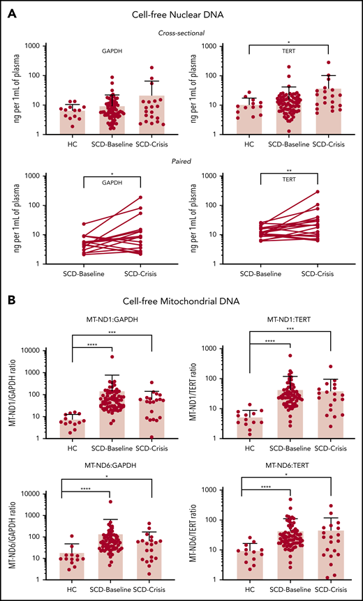 cfDNA is increased in patients with SCD. (A) Quantification of cf-nDNA in the cross-sectional cohort (upper panel) and paired samples (lower panel) by real-time qPCR assays of human genomic targets GAPDH and TERT. Upper panels: HCs, n = 13; SCD-Baseline, n = 72, and SCD-Crisis, n = 20. Data are sample mean ± SD. *P < .05, nonparametric Kruskal-Wallis test with Dunn’s multiple-comparison test. Lower panels: SCD-Baseline and SCD-Crisis pairs, n = 18. Circles represent the mean of each sample. *P < .05, **P < .01, nonparametric Wilcoxon matched-pairs signed-rank test. (B) qPCR assays were performed for human mitochondrial targets (MT-ND1 and MT-ND6), as well as for nuclear targets (GAPDH and TERT), and the cf-mtDNA/cf-nDNA ratio was calculated by normalizing the cycle threshold (ct) values with the mean ct value of GAPDH from HCs. Quantitation of cf-mtDNA/cf-nDNA ratio using the following mitochondrial and nuclear targets: MT-ND1/GAPDH, MT-ND1/TERT, MT-ND6/GAPDH, and MT-ND6/TERT. Error bars represent the sample mean ± SD. *P < .05, ***P < .0005, ****P < .0001, nonparametric Kruskal-Wallis test with Dunn’s multiple comparison test.