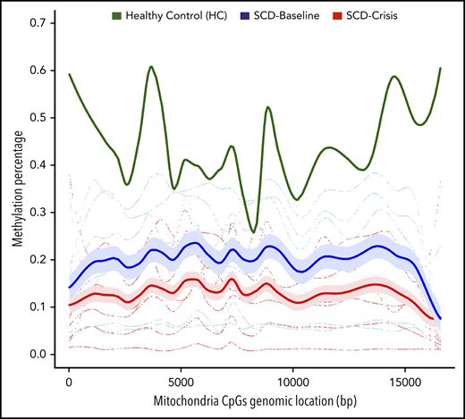 Global mitochondrial hypomethylation in cfDNA samples. Bisulfite sequencing (BS-Seq) graphical output of mitochondrial DMRs in the cfDNA of patients with SCD. cfDNA from 7 longitudinal pairs (7 SCD-Baseline and 7 SCD-Crisis) of patients with SCD and an HC was extracted and treated with bisulfite, and the whole genome was sequenced for the BS-Seq analysis to analyze the levels of cytosine guanine dinucleotide (CpG) across the samples. DMRs with ≥3 CpGs and a mean methylation difference between groups of samples ≥10% are considered significant. Blue and red lines indicate mean percentage of methylation of SCD-Baseline and SCD-Crisis, respectively, across 7 pairs. The green line represents the percentage of mitochondrial methylation in the HC.