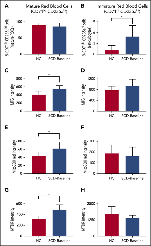 Differential mitochondrial mass, membrane potential, and superoxide production in RBCs from HCs and patients who were SCD-Baseline (n = 4 each). (A) HCs display a slight increase in the percentage of mature RBCs compared with patients with SCD, but the difference is not significant. (B) Immature RBCs (reticulocytes) were significantly higher in SCD patients. Mature RBCs from SCD patients showed a significant increase in mitochondrial mass (quantified as the fluorescent intensity of MTG) (C), the amount of mitochondrial superoxide (estimated with MitoSOX Red) (E), and mitochondrial membrane potential (quantified with MTDR) (G) compared with mature RBCs from HCs but there was no significant difference in mitochondrial mass (D), superoxide levels (F), or mitochondrial membrane potential (H) between SCD and HC reticulocytes. Errors bars represent the sample mean ± SD. *P < .05, Student t test.