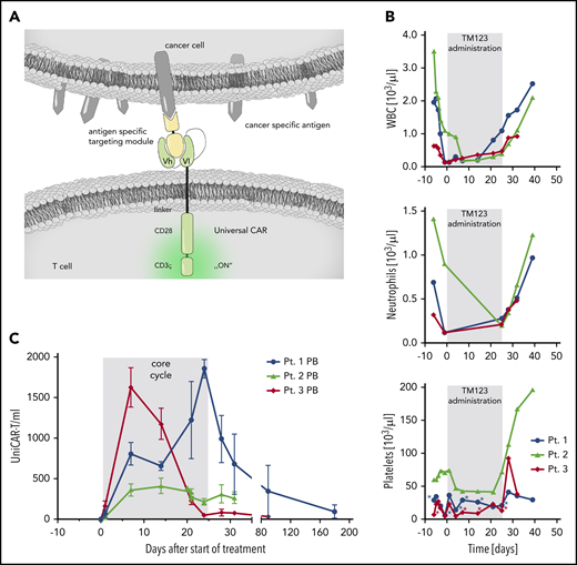 First-in-human proof-of-concept for a rapidly switchable UniCAR targeting CD123 for treatment of AML. (A) Schematic presentation of the UniCAR platform. Autologous T cells are genetically engineered to express UniCAR, which does not recognize a surface protein, and hence, UniCAR-T are inactive under physiologic conditions. A soluble adapter consisting of the UniCAR epitope (UCE) linked to a single-chain fragment variable directed against CD123 (TM123) is required for antigen-specific redirection and activation of UniCAR-T. (B) Rapid recovery of leukocytes (WBC), neutrophils, and platelets in 3 treated AML patients after stop of TM123 infusion. Asterisks indicate timing of platelet transfusions. (C) UniCAR-T-cell numbers in peripheral blood (PB) over the course of treatment. Cell number was calculated from vector copy number determined by digital droplet polymerase chain reaction, mean and standard deviation are shown.