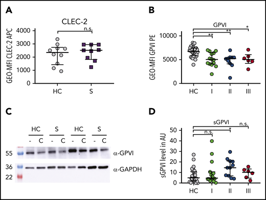 Sepsis platelets show increased GPVI ectodomain shedding. Assays display the following time points: I: admission day; II: day 5 to 7; and III: day of ICU discharge. (A-B) CLEC-2 (A) and GPVI (B) expression on platelet surface were analyzed by flow cytometry. (C) GPVI expression studied by western blotting using JAQ-1 antibody. Platelet lysis was performed 60 minutes after stimulation with CRP-XL (C) (0.1 µg/mL) or under resting conditions (−). (D) ELISA for soluble GPVI ectodomain (sGPVI) was performed with plasma of sepsis patients and corresponding controls. Graphs show median ± IQR. Differences were analyzed by Kolmogorov-Smirnov test (A) or Kruskal-Wallis test (B,D). *P < .05; **P < .01. AU, arbitrary units; α-GAPDH, α-glyceraldehyde-3-phosphate dehydrogenase.