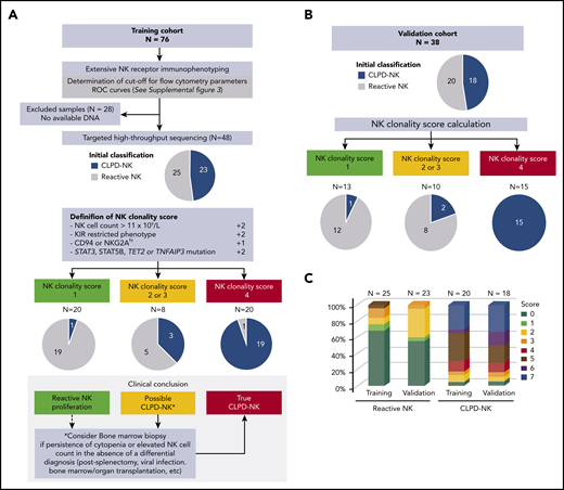 NK-cell clonality score. (A) Flowchart for NK-cell clonality score development based on the training set data (n = 76). The pie charts show the distributions of patients in CLPD-NK (blue) vs reactive NK group (gray) according to standard criteria. Comparison with final assessment according NK-cell clonality score. (B) Validation of NK-cell clonality score on an independent set of patients. (C) Distribution of the NK-cell clonality score between the 2 groups.