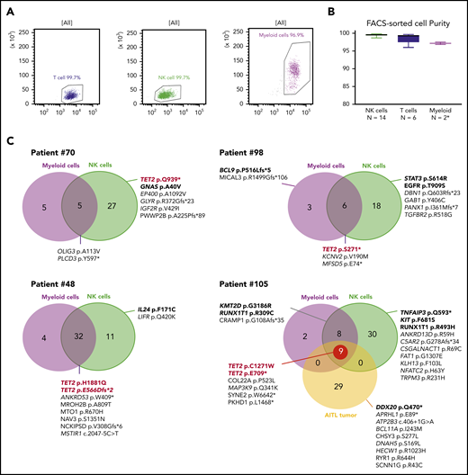 WES of sorted myeloid, T, and NK cells. (A) Evaluation by flow cytometry of the purity of sorted NK, T, and myeloid cells from 1 representative case (patient 105). (B) Purity evaluation of fluorescence activated cell sorting–delineated cells for all samples. *For 2 patients, the number of sorted myeloid cells was too low (<100 000) to perform purity control analysis. (C) WES results for 4 TET2-mutated patients. Venn diagrams represents the number of mutations in NK cells and myeloid cells as compared with the reference sample (T cell). Patient 105 analysis also includes a tumoral sample (AITL) collected 2 years before the occurrence of the CLPD-NK. Mentioned mutations correspond to pathogenic variants and/or variants related in OncoKB database.