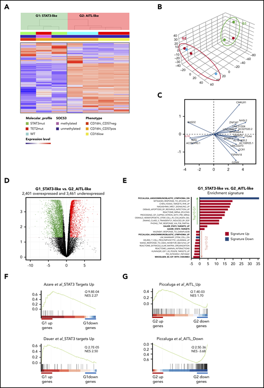 Transcriptional analysis by RNA-sequencing of 7 patients with CLPD-NK. (A) Hierarchical clustering (A) and PCA (B) performed on the 1000 most variable genes of the data set. Samples are clustered into 2 groups (G1 vs G2). (C) PCA gene contribution. (D) Volcano plot representing the significantly overexpressed (red) and underexpressed (green) gene in G1 vs G2 group (q > 0.05; fold change >2). (E) GSEA: STAT3-targets related signatures and top 10 overrepresented signatures among the differentially expressed genes in G1 vs G2, ranked by q value. (F) GSEA plot for STAT3 target signatures in G1. (G) GSEA plot for AITL signature in G2. NES, normalized enrichment score.
