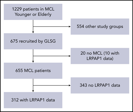 Patient selection. Of 1229 patients in the MCL Younger and Elderly trials, 675 were recruited by the GLSG. Reference pathology-certified MCL in 655 of these patients. Serum samples from 312 of these 655 patients could be analyzed for LRPAP1 autoantibodies.