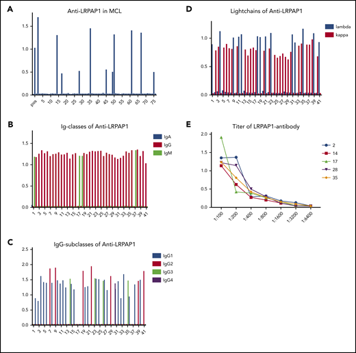 ELISA for LRPAP1 autoantibodies. (A) Representative ELISA of LRPAP1 autoantibodies in 76 sera samples of patients with MCL of whom 11 were positive for LRPAP1 antibodies. The columns represent the optical density measured at 490 nm. In total, in the sera of 41 of 312 patients, MCL autoantibodies directed against LRPAP1 were detected. (B) ELISA of immunoglobulin class of LRPAP1 autoantibodies. LRPAP1 autoantibodies belonged in 37 patients to IgG class and in 4 patients to IgM class. (C) ELISA for IgG subclasses of LRPAP1 autoantibodies: IgG LRPAP1 autoantibodies belonged in 25 cases to IgG1, in 7 cases to IgG2, in 4 cases to IgG3, and in 1 case to IgG4 subclass. (D) ELISA for the light chain of LRPAP1 autoantibodies: LRPAP1 autoantibodies were light chain–restricted (κ: 27; λ: 14). (E) Representative ELISA of titers of LRPAP1 antibodies in seropositive patients with MCL ranged between 1:400 and 1:3200. The curves represent OD measured at 490 nm with sera at indicated dilutions.