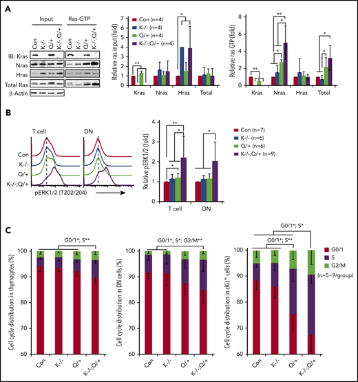 Kras−/−; NrasQ61R/+ thymic T cells show hyperactivation of Nras/MEK/ERK signaling and hyperproliferation. Six- to 7-week-old Mx1-cre (Con), Kras−/− (K−/−), NrasQ61R/+ (Q/+), and Kras−/−; NrasQ61R/+ (K−/−; Q/+) mice were treated with pI-pC as described in "Materials and methods." Thymocytes were collected for analysis on day 37. (A) Whole cell lysates (WCL) were extracted and analyzed for expression levels of different Ras isoforms, which were quantified against the levels of β-actin using ImageStudioLite software. Ras-GTP was affinity purified from WCL using a glutathione S-transferase (GST) fusion with the Ras binding domain of Raf (Raf RBD) immobilized on agarose beads. The levels of Ras-GTP bound forms were quantified against the levels of their corresponding Ras isoforms. The ratios of Ras-GTP/Ras in control cells are arbitrarily set at 1. (B) Phosphorylated ERK1/2 (pERK1/2) in the indicated populations of thymocytes were quantified with phospho-flow assay. Representative results from 1 set of experiment and quantification of 6 to 9 independent experiments were shown. (C) Cell-cycle analysis of different populations of thymocytes using 4′,6-diamidino-2-phenylindole (DAPI) staining. Data are presented as mean – SD. P values were calculated with a 2-tailed Student t test. *P < .05; **P < .01.