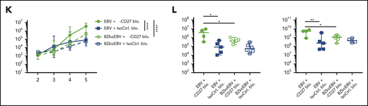 Blocking of CD27 diminishes the immune control of EBV infection. (A) Workflow of CD27 blocking experiments. One day before infection with 105 RGU luciferase encoding B95-8 EBV (Luc-EBV), huNSG-A2 mice (HLA-A2 transgenic NSG mice reconstituted with HLA-A2+ human hematopoietic progenitor cells) were adoptively transferred with 200,000 autologous T cells expressing either BMLF1- or LMP2-specific TCRs that had been transduced ex vivo. The anti-CD27 blocking antibody is the Fc domain re-engineered version of the anti-CD27 depletion antibody of Figure 2 and can no longer engage antibody-directed cellular cytotoxicity. At week 2 after EBV infection, animals were injected (IP) with 6.5 μg/g of either anti-CD27 blocking antibody or isotype control antibody consecutively every 4 days until termination of the experiment. (B) Representative flow cytometry plots of BMLF1- and LMP2-specific TCR-transduced CD8+ T cells (left) using mouse TCRβ-specific antibodies (mTCRb) and BMLF1 and LMP2 peptide plus HLA-A2 pentamers.24 Frequency of CD27 expression on transduced and nontransduced CD8+ T cells (right). (C) Spleen weight of animals treated with either anti-CD27 blocking antibody (α-CD27 blo.) or isotype control antibody (IsoCtrl. blo.) upon different transfer conditions. (D-E) EBV viral loads quantified by quantitative PCR over time during EBV infection (D) at the termination of the experiment in peripheral blood (E, left), spleen (E, middle), and liver (E, right). Mice treated with either anti-CD27 blocking antibody or isotype control antibody in different transfer conditions were compared. (F-G) Representative immunohistochemistry images of EBNA2 in the respective groups (original magnification ×200) (F), and the quantification of EBNA2+ cells/mm2 in splenic sections (G). (H-I) Representative IVIS image analysis at week 1 and week 5 after Luc-EBV infection (H) and quantification of defined region of interest of IVIS images (I). (J) Spleen weight of animals infected with either wild-type EBV or BZLF1 knockout EBV (BZkoEBV), treated with anti-CD27 blocking antibody or isotype control antibody without adoptive transfer. (K-L) EBV viral loads of animals over time during EBV infection (K) at the termination of the experiment in peripheral blood (L, left) and spleen (L, right) in the respective groups. Data (n = 14-16 per group) pooled from 2 independent mouse experiments were graphed (C-E,G,I-L) and displayed with median and interquartile range. Graphs (F-I) (n = 7-8 per group) are representative from 1 out of 2 independent experiments. Graphs (K-L) (n = 4-6 per group) are from 1 experiment. One-way ANOVA analysis (Kruskal-Wallis test) followed by Tukey’s post hoc test (J,L), 2-way ANOVA analysis and Sidak’s multiple comparisons as a post hoc test (D,I,K), and the Mann-Whitney U test (C,E,G) were used to assess P values. *P < .05, **P < .01. See also related supplemental Figure 3.