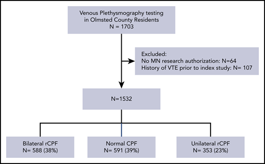 Flow diagram of participant selection and exclusion.