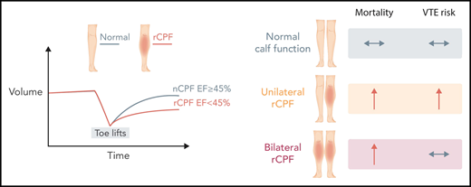 Air plethysmography findings in normal calf muscle pump function (nCPF) compared with reduced calf muscle pump function (rCPF) (left panel). Outcomes of mortality and VTE risk by calf pump function status (right panel). EF, ejection fraction. Professional illustration by Somersault18:24.