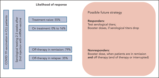 Response rates to COVID-19 vaccination and possible consequences.