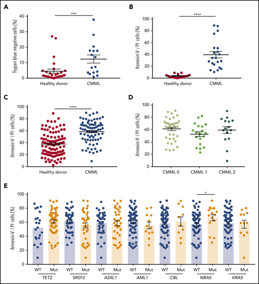 Defective apoptosis of CMML peripheral blood monocytes. (A) Cell viability of CD14+ monocytes sorted from the peripheral blood of patients with CMML (n = 16) and healthy donors (n = 27) was analyzed by Trypan blue dye exclusion after 4 days in culture without serum. (B) CD14+ monocytes were sorted from the peripheral blood of patients with CMML (n = 21) and healthy donors (n = 30) and stained with AnV-FITC and PI after 4 days in culture without serum; the AnV+/PI– fraction was measured by flow cytometry. (C) AnV+/PI– fraction of CD14+ monocytes sorted from the peripheral blood of patients with CMML (n = 78) and healthy donors (n = 102) as determined by flow cytometry after 24 hours in culture in the presence of 10% fetal calf serum. (D-E) Patient samples tested in panel C were classified according to patient characteristics, including the 2016 iteration of the World Health Organization classification separating CMML-0 from CMML-1 and CMML-2 (D) and the presence or absence of mutations in the indicated genes (E). Error bars are mean ± standard error of the mean (SEM). Mann-Whitney U test: *P < .05; ***P < .001; ****P < .0001. MUT, mutant; WT, wild-type.