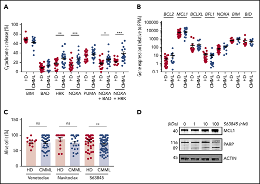 CMML monocyte addiction to MCL1. (A) iBH3 profiling: CD14+ peripheral blood monocytes collected from patients with CMML (n = 14-21) and healthy donors (n = 17-22) were incubated with the indicated peptides (80 μM) before measuring the flow of the fraction of cytochrome c released. (B) RT-qPCR analysis of indicated gene ex-pression in sorted peripheral blood monocytes collected from patients with CMML (n = 9-30) and healthy donors (n = 9-28) using PPIA as a housekeeping gene. (C) Peripheral blood monocytes from patients with CMML (n = 24-71) and healthy donors (n = 12-49) were treated with venetoclax (1 µM), navitoclax (100 nM), or S63845 (10 nM) for 24 hours at 37°C before measuring the fraction of AnV–/PI– cells by flow cytometry. (D) Immunoblot analysis of indicated proteins in sorted monocytes treated with indicated doses of S63845 for 24 hours. Data are shown as mean ± SEM. Mann-Whitney U test: *P < .05; **P < .01; ***P < .001. ns, not significant.