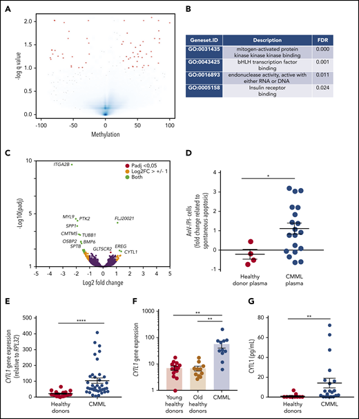 Overexpression of CYTL1 in CMML monocytes. (A) Volcano plot analysis of differentially methylated regions identified by ERRBS by comparing CMML monocytes with defective (n = 10) and nondefective (n = 9) apoptosis, based on their survival after 24 hours in serum-containing medium (>50% or ≤50%). (B) Gene Ontology (GO) pathway analysis of ERRBS data, identifying MAP3K as the most significant differentially regulated pathway. (C) Volcano plot analysis of differentially expressed genes identified by RNA-seq of samples analyzed in panel A. (D) Healthy donor (HD) monocytes were incubated for 24 hours in culture medium with 10% peripheral blood plasma collected from healthy donors (n = 4) or patients with CMML (n = 19). The fraction of surviving cells (AnV–/PI–) was normalized to that of control monocytes in serum-free medium. (E) CYTL1 gene expression measured by RT-qPCR in healthy donor and CMML monocytes, using RPL32 as a housekeeping gene. (F) CYTL1 gene expression analyzed in RNA-seq data from Franzini et al.20 Kruskal-Wallis test, Dunn’s multiple comparison: **P < .01. (G) CYTL1 protein level measured in the peripheral blood plasma of healthy donors and patients with CMML. Error bars are mean ± SEM. Mann-Whitney U test (D-E,G): *P < .05; **P < .01; ****P < .0001.