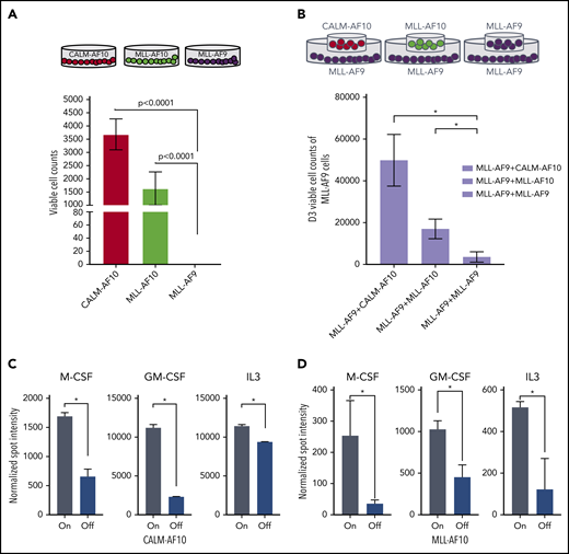 Cytokine sensitivity and expression in AF10 FP-expressing AMLs. (A) Number of viable cells per 10 000 initially seeded cells at day 5 after cytokine withdrawal is plotted on the y-axis for the indicated AML FPs. (B) Schematic on top shows the format of the coculture experiment in which a Transwell was inserted into a 6-well plate for coculture. Number of viable cells per 10 000 cells at day 3 with MLL-AF9 AML cells cocultured with the same cells on top (left panel) or overlaid with CALM-AF10 or MLL-AF10 AML cells (right panels) is shown. (C) Normalized spot intensity of indicated cytokines is shown in the bar graph for M-CSF, GM-CSF, and IL3 for CALM-AF10 On (gray bars) and Off cells (blue bars) and (D) for iMLL-AF10 On (gray) and Off (blue bars) with indicated P values. *P < .05 calculated using the Student t test.