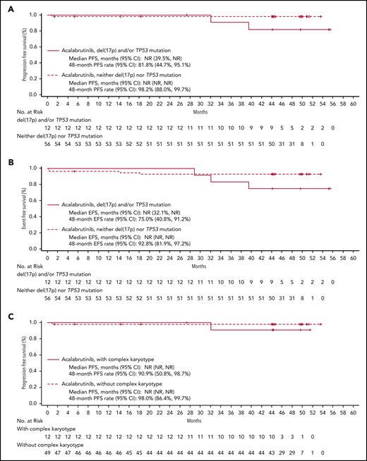 PFS and EFS in patients with high-risk features. Shown are Kaplan-Meier curves for PFS and EFS by del(17p) and TP53 mutation status (A and B, respectively) and by complex karyotype (C and D, respectively).