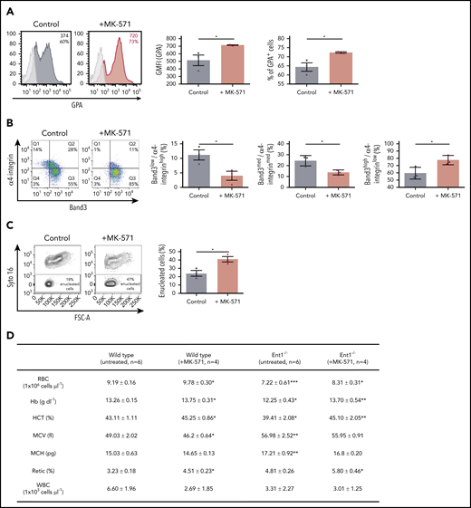 Reduced ABCC4 activity enhances in vitro erythropoiesis of human CD34+ cells as well as erythropoiesis in WT and Ent1−/− mice and enhances. (A) CD34+ cells from healthy donors were cultured in the presence or absence of MK-571 (100 μM), initiated 24 hours after CD34+ selection. GPA expression was monitored at day 3 of rEPO-induced erythroid differentiation and representative FACS histograms of control (black histogram) and MK571-treated progenitors (orange histogram) are presented, including percentages of GPA+ cells and GFMI (left). Shaded gray histograms correspond to unstained negative controls specifying negative gating. GMFI (middle) and the percentages of GPA+ cells (right) were quantified and means ± standard error of the mean (SEM) of 3 independent experiments are shown. *P < .05. (B) Erythroblast maturation was monitored at day 12 of differentiation in the presence or absence of MK-571 by α4-integrin/Band3 profiles of GPApos cells. Representative dot plots are shown (left), and the percentages of cells in each quadrant are indicated. Quantification of cells in the more immature α4-integrinhigh/Band3low and α4-integrinmed/Band3med subsets as compared with the more mature α4-integrinlow/Band3high subset is presented for 3 independent experiments (right). *P < .05. (C) Erythroblast enucleation was evaluated as a function of Syto16 nucleic acid staining and representative dot plots indicating the percentages of Syto16-enucleated cells (left) and quantification of enucleated cells in 3 independent experiments are presented (right). *P < .05. (D) Hematological parameters of WT and Ent1−/− mice under control conditions or following a 6-day treatment with MK-571. *P < .05, **P < .01, ***P < .001, WT treated vs WT, Ent1−/− treated vs Ent1−/− untreated. (E) Quantification of CMP, MEP, and GMP in BM of WT and Ent1−/− mice in the absence or presence of MK-571 treatment (10 mg/kg every other day for 1 week, n = 4-6). (F) Frequency of Lin−c-kit+ cells in BM and spleen of WT and Ent1−/− mice treated or not with MK-571. (G) Quantification of the frequencies of Ter119+ and Gr-1+ cells in BM of untreated and MK-571-treated WT and Ent1−/− mice are presented (n = 4-6). *P < .05, **P < .01.