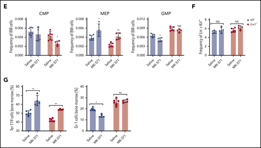 Reduced ABCC4 activity enhances in vitro erythropoiesis of human CD34+ cells as well as erythropoiesis in WT and Ent1−/− mice and enhances. (A) CD34+ cells from healthy donors were cultured in the presence or absence of MK-571 (100 μM), initiated 24 hours after CD34+ selection. GPA expression was monitored at day 3 of rEPO-induced erythroid differentiation and representative FACS histograms of control (black histogram) and MK571-treated progenitors (orange histogram) are presented, including percentages of GPA+ cells and GFMI (left). Shaded gray histograms correspond to unstained negative controls specifying negative gating. GMFI (middle) and the percentages of GPA+ cells (right) were quantified and means ± standard error of the mean (SEM) of 3 independent experiments are shown. *P < .05. (B) Erythroblast maturation was monitored at day 12 of differentiation in the presence or absence of MK-571 by α4-integrin/Band3 profiles of GPApos cells. Representative dot plots are shown (left), and the percentages of cells in each quadrant are indicated. Quantification of cells in the more immature α4-integrinhigh/Band3low and α4-integrinmed/Band3med subsets as compared with the more mature α4-integrinlow/Band3high subset is presented for 3 independent experiments (right). *P < .05. (C) Erythroblast enucleation was evaluated as a function of Syto16 nucleic acid staining and representative dot plots indicating the percentages of Syto16-enucleated cells (left) and quantification of enucleated cells in 3 independent experiments are presented (right). *P < .05. (D) Hematological parameters of WT and Ent1−/− mice under control conditions or following a 6-day treatment with MK-571. *P < .05, **P < .01, ***P < .001, WT treated vs WT, Ent1−/− treated vs Ent1−/− untreated. (E) Quantification of CMP, MEP, and GMP in BM of WT and Ent1−/− mice in the absence or presence of MK-571 treatment (10 mg/kg every other day for 1 week, n = 4-6). (F) Frequency of Lin−c-kit+ cells in BM and spleen of WT and Ent1−/− mice treated or not with MK-571. (G) Quantification of the frequencies of Ter119+ and Gr-1+ cells in BM of untreated and MK-571-treated WT and Ent1−/− mice are presented (n = 4-6). *P < .05, **P < .01.