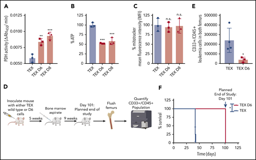 Knockdown of VLCAD alters mitochondrial metabolism and reduces leukemia cell engraftment. Quantification of PDH activity (A), ATP levels (B), and (C) mitochondrial mass of TEX wild-type and VLCAD-knockdown cells. (D) Schematic diagram of the study, highlighting injection of an equal number of TEX wild-type or D6 cells into the tail vein of NSG mice. Engraftment levels were quantified at an intermediate time point of 5 weeks, via BM, and at the planned end point at day 101. Created using BioRender. (E) Engraftment levels of TEX wild-type and VLCAD-knockdown cells at the end point. (F) Overall survival of mice engrafted with TEX wild-type or D6 cells. *P = .0134, log-rank (Mantel-Cox) test. *P ≤ .05, **P ≤ .002, ***P ≤ .001, 1-way ANOVA with Tukey’s post hoc test (A-C); Mann-Whitney U test (E). With the exception of (D), all data are mean ± standard deviation.