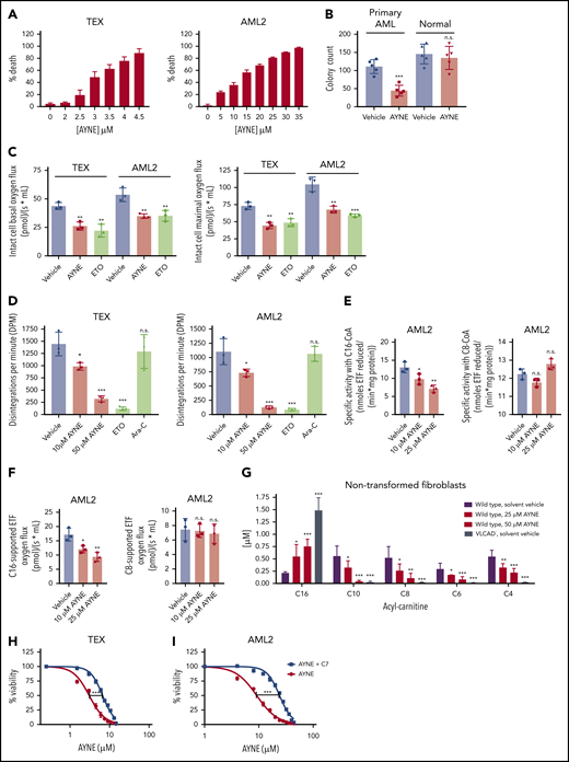 AYNE eliminates the leukemic population and hinders clonogenic growth by targeting long chain FAO at the site of VLCAD. (A) Death of leukemia cell lines TEX (left panel) and AML2 (right panel) following 72-hour treatment with AYNE. (B) Clonogenic growth of primary AML cells (#9-#13) and normal MNCs (n = 5) following a 2-week treatment with solvent vehicle or 10 µM AYNE. (C) Intact leukemia cell basal respiration (left panel) and maximal respiration (right panel) following 1-hour treatment with a solvent vehicle or 10 µM AYNE or 100 µM ETO. (D) Rates of complete FAO, using radiolabeled palmitate, in AML cell lines following 3-hour treatment with a solvent vehicle, AYNE (10 or 50 µM), ETO (100 µM; positive control for FAO inhibition), or cytarabine (Ara-C; 1 µM, negative control for FAO inhibition). (E) Following 12-hour treatment with a solvent vehicle or AYNE (10 or 25 µM), ACAD activity in AML2 cells was directly quantified with a fluorescence-based assay and palmitoyl-CoA (C16-CoA) or octanoyl-CoA (C8-CoA) to assess VLCAD or MCAD activity, respectively. (F) Following 1-hour treatment with a solvent vehicle or AYNE (10 or 25 µM), ACAD activity in AML2 cells was indirectly quantified via ETF respiration with palmitoyl-carnitine or octanoyl-carnitine to assess VLCAD or MCAD activity, respectively. (G) AC profiling after 96 hours in spent media of human nontransformed fibroblasts treated with a solvent vehicle or AYNE (25 or 50 µM). Viability of TEX cells (H) and AML2 cells (I) following 72-hour treatment with sodium heptanoate (C7) and AYNE. In (A,H-I), the 7-aminoactinomycin D exclusion assay was used for all viability experiments in which cells were treated for 72 hours. Data in (B-G) are mean ± standard deviation (SD). *P ≤ .05, **P ≤ .002, ***P ≤ .001, 2-tailed paired Student t test (B); 1-way ANOVA with Tukey’s post hoc test (C-G). In (H-I), 50% inhibitory concentrations were calculated using the dose response–inhibition equation using GraphPad Prism 7.0 and then compared as mean ± SD using a 2-tailed unpaired Student t test.