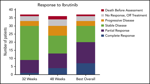 Response to ibrutinib. Response to ibrutinib is shown at both preplanned response assessments at 32 and 48 weeks. Patients with either a CR or a PR were considered responders. Patients who died before the 32-week response assessment and those who were off-study and therefore not assessed for response are shown. These data are also found in supplemental Table 5. One patient is still receiving treatment but has not reached the 48-week assessment and is included in the 32-week assessment and best response for any cycle totals.