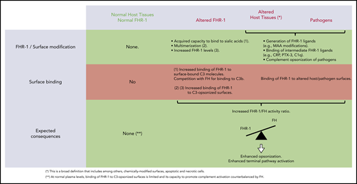 Interaction of FHR-1WT and FHR-1 mutants with normal host cells and altered host surfaces and pathogens and their consequences in complement regulation.