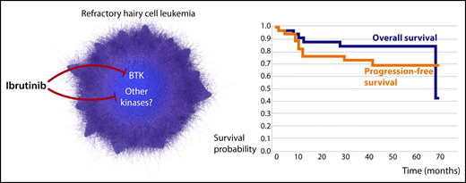 Ibrutinib provides a new therapeutic solution for patients with refractory HCL. Treatment with ibrutinib resulted in durable responses in these patients, irrespective of the status of BCR signaling. Professional illustration by Somersault18:24.