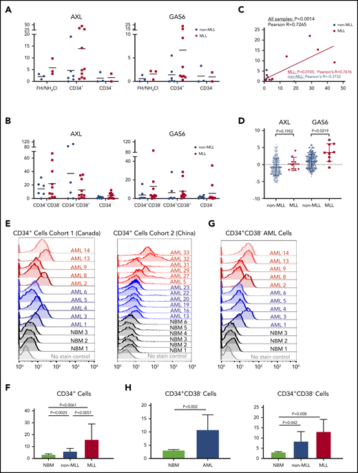 GAS6/AXL expression is highly increased in primitive AML patient cells. (A) qRT-PCR results for AXL and GAS6 transcript levels in unpurified (FH/NH4CL) cells, CD34+ stem/progenitor cells, and CD34− cells from patients with AML (CD34+ cells from 18 samples and CD34− from 6 samples). (B) qRT-PCR results for AXL and GAS6 transcript levels in stem cell–enriched CD34+CD38−, CD34+CD38+ progenitor and CD34− mature cells from patients with AML. (C) Dot plot of AXL vs GAS6 transcript levels in MLL (n = 10) and non-MLL (n = 6) primary AML samples. (D) RNA-seq analysis of transcript levels of AXL and GAS6 in MLL (n = 9) and non-MLL (n = 296) samples from patients with AML obtained from the Beat AML program. (E-F) FACS graphs of AXL-APC+ surface staining in CD34+ AML and NBM cells from cohort 1 (left panel: AML, n = 10 and NBM, n = 3) and representative samples from cohort 2 (right panel: AML, n = 12 and NBM, n = 6) (E) with corresponding quantification of mean fluorescence intensity in all samples from both cohorts (F). (G-H) FACS graphs of AXL-APC+ staining in CD34+CD38− AML and NBM cells from cohort 1 (AML, n = 10 and NBM, n = 3) (G), with corresponding quantification of mean fluorescence intensity (H). The P values were calculated using a 2-tailed, unpaired Student t test or 1-way ANOVA with Tukey’s post hoc correction for multiple comparisons.