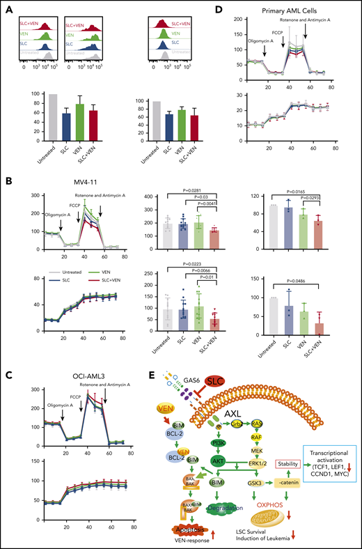 Combined treatment with SLC-391 (SLC) and venetoclax (VEN) inhibits mitochondrial OXPHOS in primitive AML cells. (A) Flow cytometry was used to quantify mitochondrial content using MitoTracker Deep Red (MTDR) in CD34+ cells from patients with AML (n = 2; patients #2 and #13) 72 hours posttreatment with the indicated drugs (left panels). Flow cytometry was used to quantify MitoRed mitochondrial superoxide indicator (MitoSOX) in CD34+ AML cells after 4 hours of treatment with the indicated drugs via flow cytometry (right panels). (B-D) OCR and the extracellular acidification rate (ECAR) were measured in MV4-11 cells (B), OCI-AML3 cells (C), and cells from patients with AML (D; patients #2, #3, and #6) after a 1-hour treatment with the indicated drugs. Maximal OCR and spare capacity were analyzed and compared among each treatment condition. Each point is representative of multiple replicates (B-C) or the mean of multiple replicates from each patient sample (D). The P values were calculated using 1-way ANOVA with Tukey’s post hoc correction for multiple comparisons or a 2-tailed, unpaired Student t test. (E) Model showing how inhibition of AXL activity sensitizes AML stem/progenitor cells to VEN in vitro and in PDX models, by dual targeting of AXL-mediated pathways and BCL-2.
