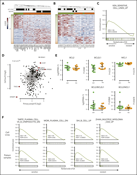Increased expression of B-cell markers in venetoclax-sensitive myeloma. RNA-sequencing heat map of genes with more than twofold differential expression and FDR <0.05 from cell lines (A) and patient samples (B). Sensitive (green) and resistant (orange) cell lines are denoted by colored boxes above the heat map. Presence of t(11;14) or t(4;14) is indicated by black boxes. To the left of the heat map, genes overexpressed in sensitive cell lines are labeled in green, and genes overexpressed in resistant lines are labeled in orange. (C) Enrichment of upregulated genes from venetoclax-sensitive myeloma cell lines in venetoclax-sensitive patient samples by GSEA. (D) Scatter plot of all genes and corresponding log twofold change in sensitive vs resistant patient samples (x-axis) and cell lines (y-axis). Genes statistically significant in both data sets or one data set are highlighted in red or black, respectively. (E) RNA expression of BCL2, BCL2L1, and MCL1 as well as calculated BCL2/BCL2L1 and BCL2/MCL1 RNA ratios in sensitive (green) and resistant (orange) cell lines. (F) Enrichment of B-cell signature genes and the Zhan CD2 expression signature in venetoclax-sensitive cell lines and patient samples by GSEA. FC, fold change; GX, gene expression; NES, normalized enrichment score.